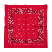 Load image into Gallery viewer, paisley-square-cotton-bandana.jpg